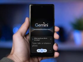 Gemini Go